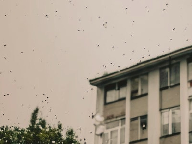 拜託請愛我